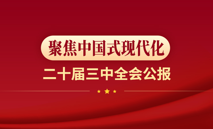 徽喜鵲漫評 | 劃重點！一組海報帶您速覽二十屆三中全會公報